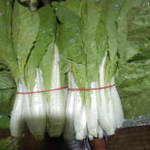 本地小把快菜，，，，，