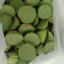 莲蓬，A级精品水果莲蓬