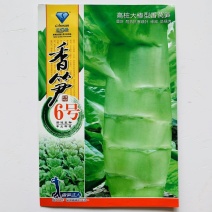 香笋6号莴笋种子圆叶色绿油亮皮嫩浅绿油亮肉浅青绿翠嫩