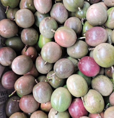 [百香果批发]百香果价格2.50元/斤 - 一亩田