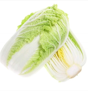 精品白菜黄芯8714等系列支持打冷包装常年供应