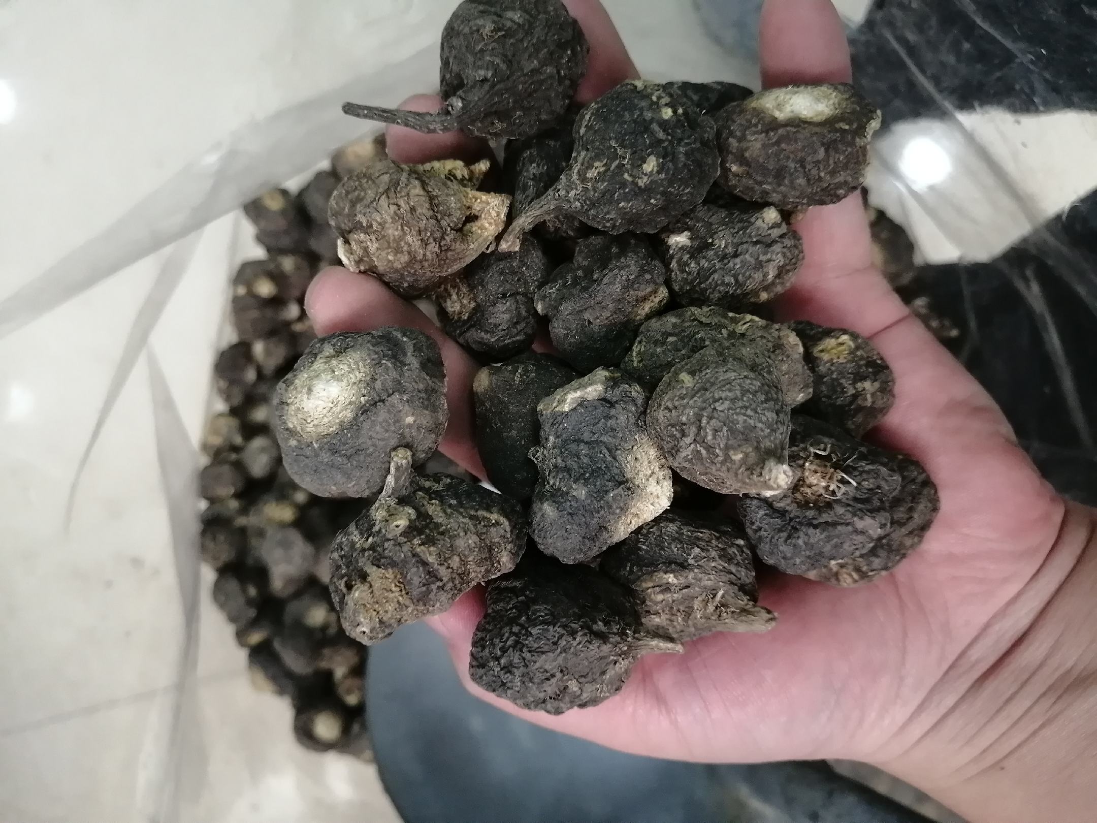 秘鲁黑玛卡产品正品对比图：左为带SENASA注册号与DO地理标志的合规进口产品，右为无原产信息、成分标注模糊的仿冒品