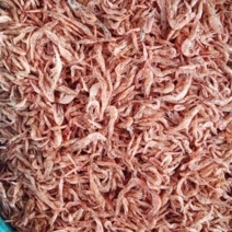 水产饲料，干虾，冻虾