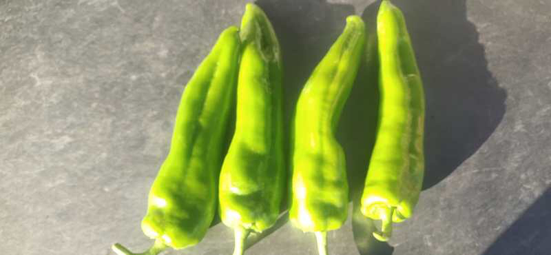 新鲜牛角椒与辅料摆放整齐