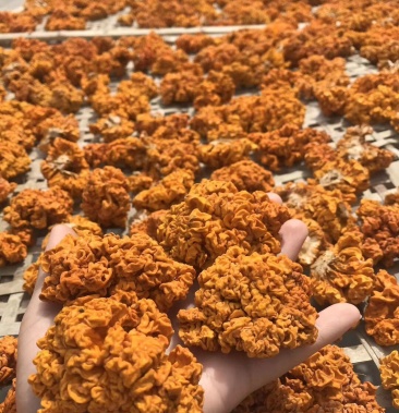 金耳干货特级脑耳食用菌干品无硫熏零添加产地直销