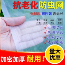 大棚防虫网果树果园网罩蔬菜植物防护网花卉农作物拱棚挡虫网