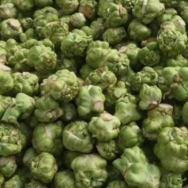 榨菜提前预定，量大从优