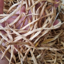 黄花菜山西黄花菜金针菜基地直销