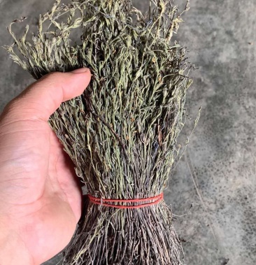 [独脚金批发]独角金精选干货,质量保证价格300.00元/斤 - 一亩田