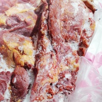 亿米特鼎丰源蒙古马肉四分体