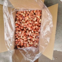 便宜龙虾尾大量批发零售