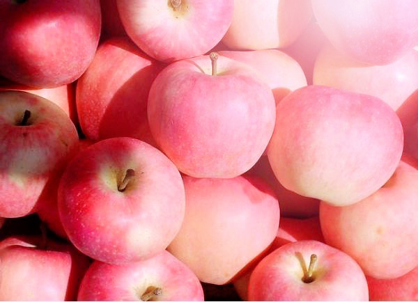 嘎啦苹果冰棒成品图,冰棒呈粉红色,背景为嘎啦苹果和柠檬片 嘎啦苹果冰棒成品图