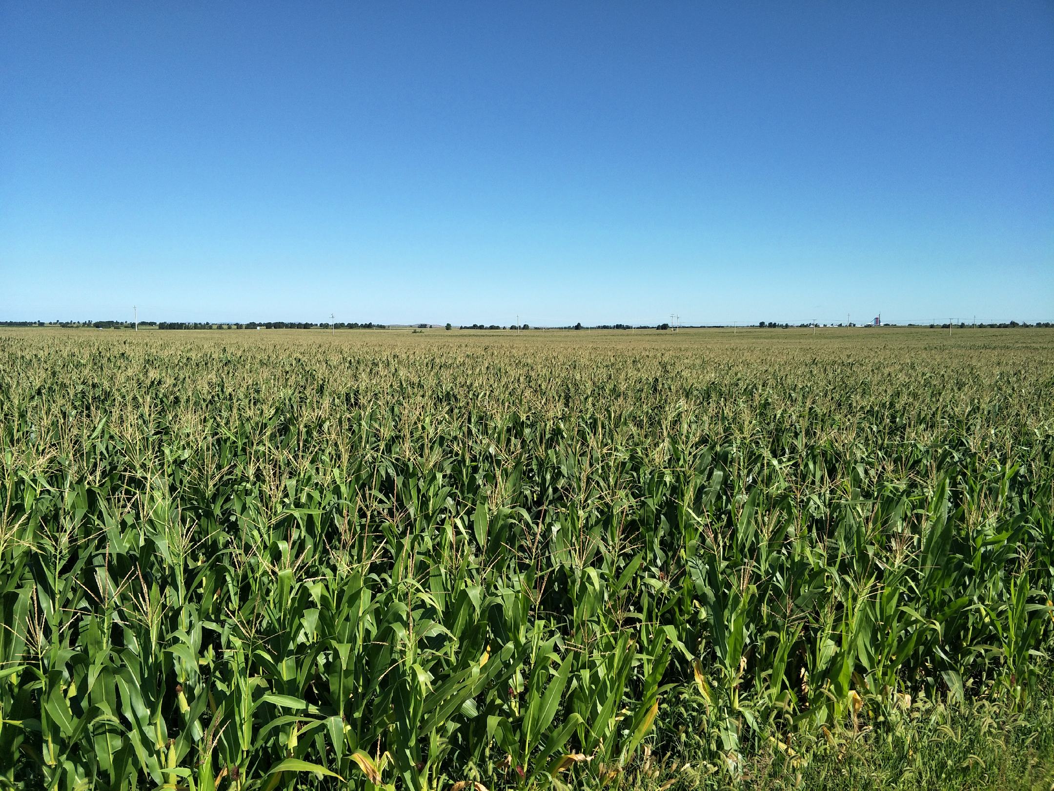 张北高原农田风光