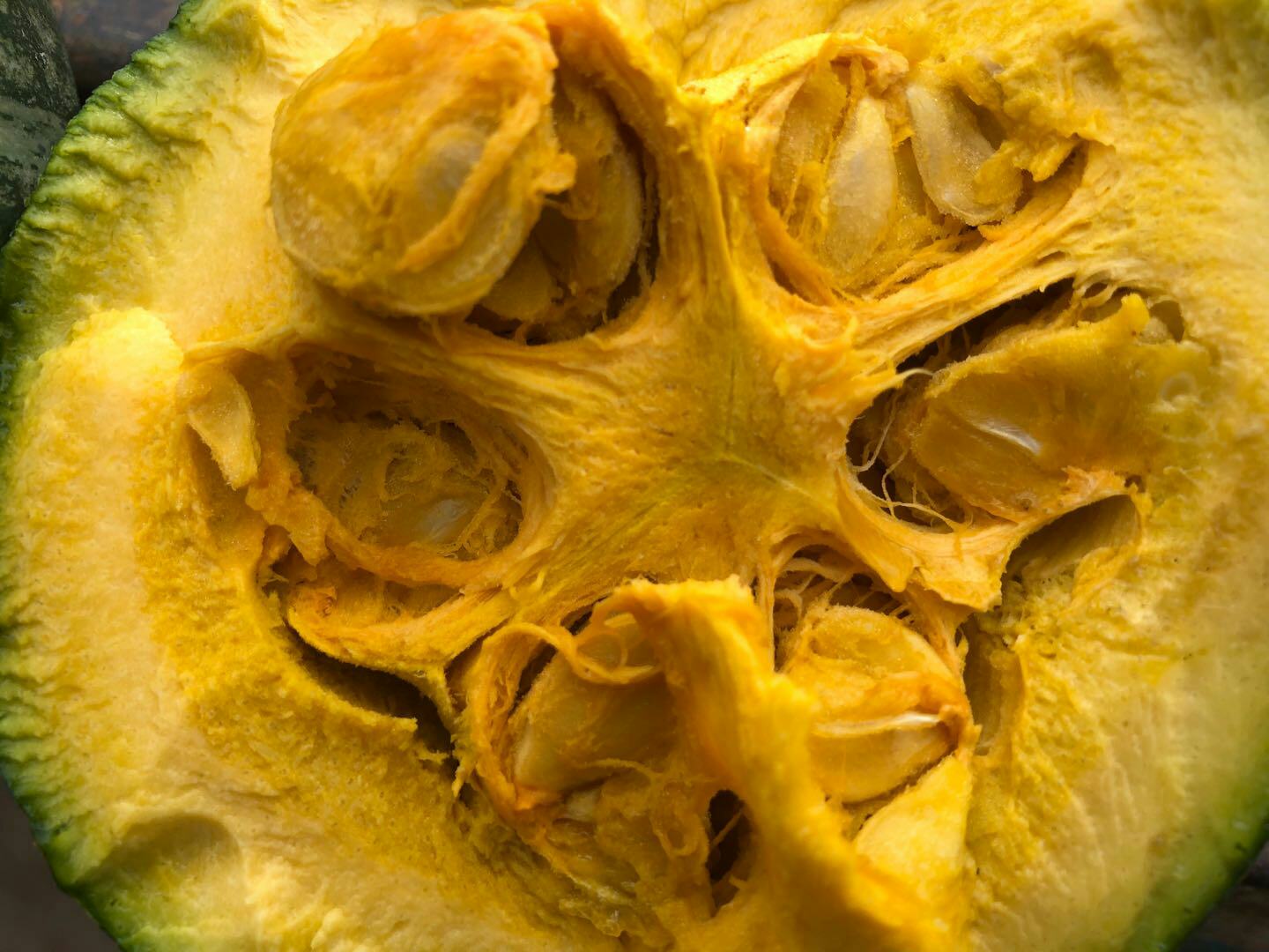 切开的板栗南瓜内部结构展示