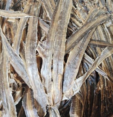 一手货源野生广地龙,过检货干净无泥