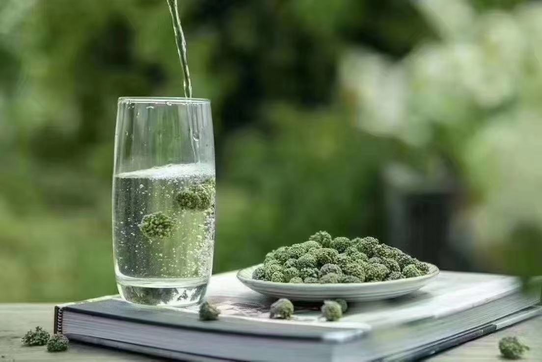 一杯温热的三七水成品,搭配红枣与枸杞,色泽金黄,视觉效果佳 三七水成品展示