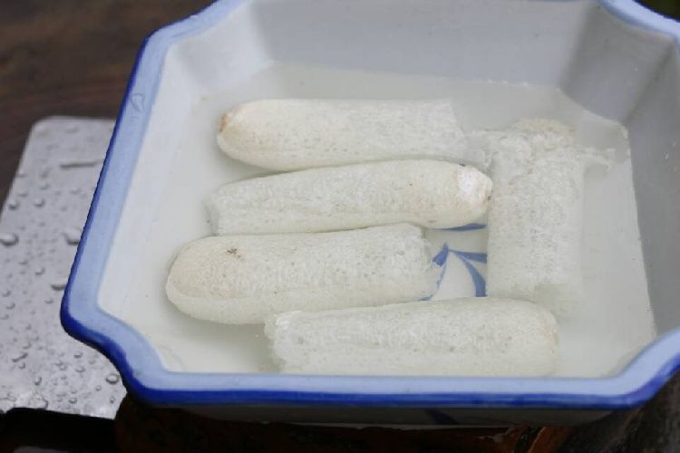 厨房中泡发与处理长裙竹荪的过程