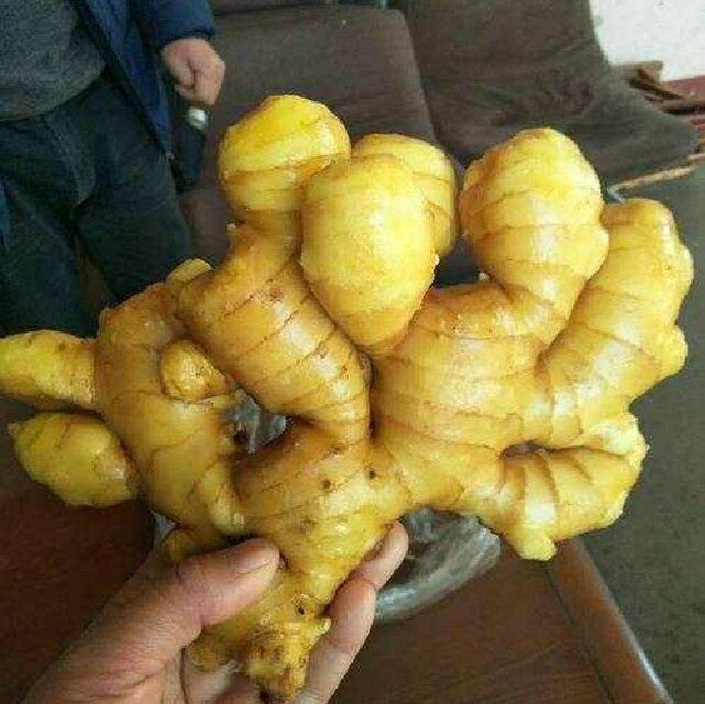 厨房应用场景图