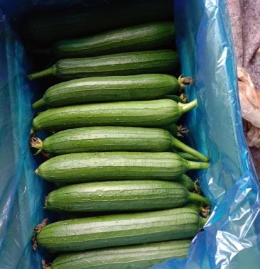 奶油箱丝瓜美味不变色