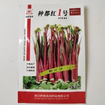 红菜苔种子，种都红1号红菜苔种子杂交品种，高产