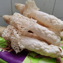 贵州织金竹荪(竹笙）干货，无硫熏！红拖短裙！仿野生种植！