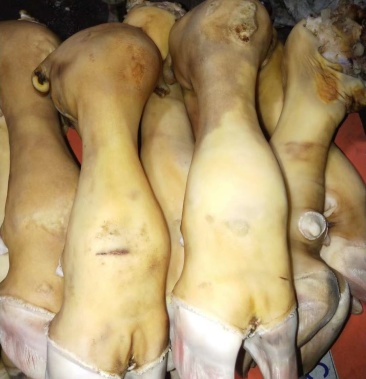 牛蹄牛蹄剧块可根据要求定做价格不高干净卫生