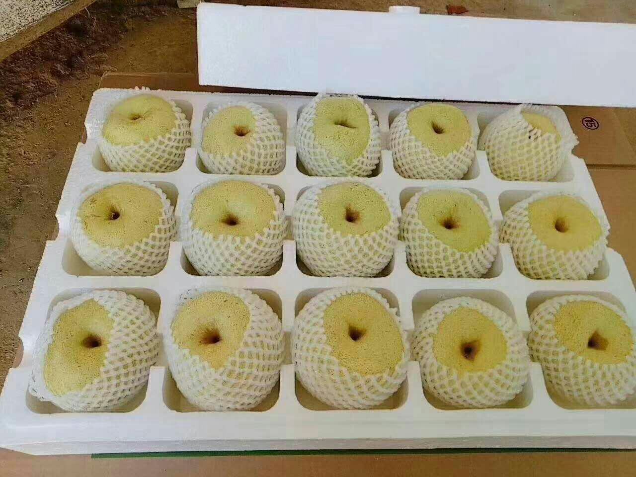 一张整洁的产品展示台,陈列着多种雪花梨衍生品:玻璃瓶装NFC雪花梨汁、独立小包装冻干梨片、梨膏糖、梨香精油皂、礼盒装精品雪花梨(每颗带有防震泡沫托),背景为现代化食品加工厂内部,工人正在操作灌装流水线 雪花梨深加工产品展示