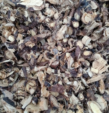 金雀根金鸡儿根切片干净无杂质量保证