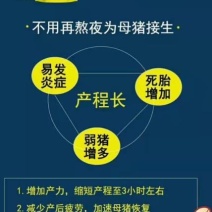 1产动力~缩短产程2小时，母猪产程长憋死小猪怎么办？
