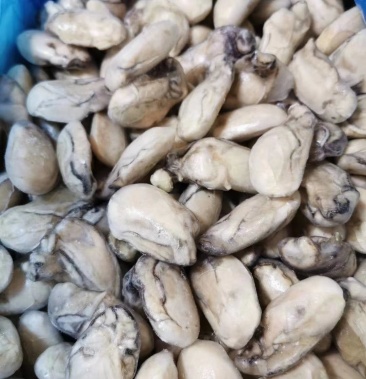 单冻原浆牡蛎肉无冰衣