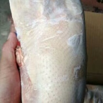 1700克新货一级沂南樱桃谷瘦肉型全净膛白条鸭