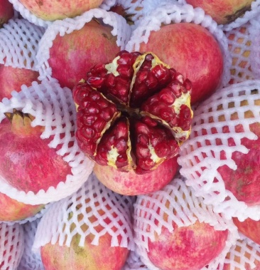 四川西昌突尼斯软籽石榴