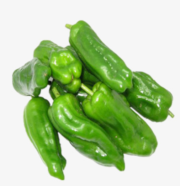 青椒,黄皮青椒,苏椒,大椒,薄皮辣椒,薄皮青椒,青椒