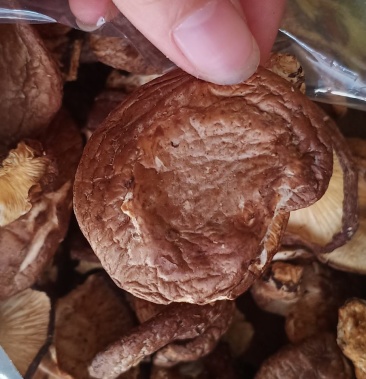 广西金秀大瑶山特产香菇