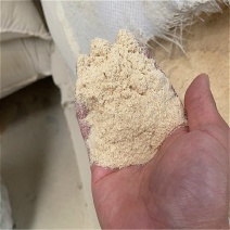 特价销售厂家直销优质资源大量促销烘干豆渣加工精致