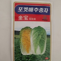 娃娃菜种子黄心杂交品质种娃娃菜种子包正欢迎咨询