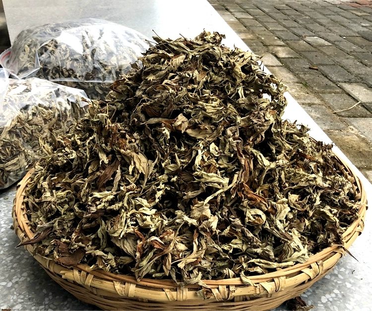 艾叶老姜洗头使用效果对比图