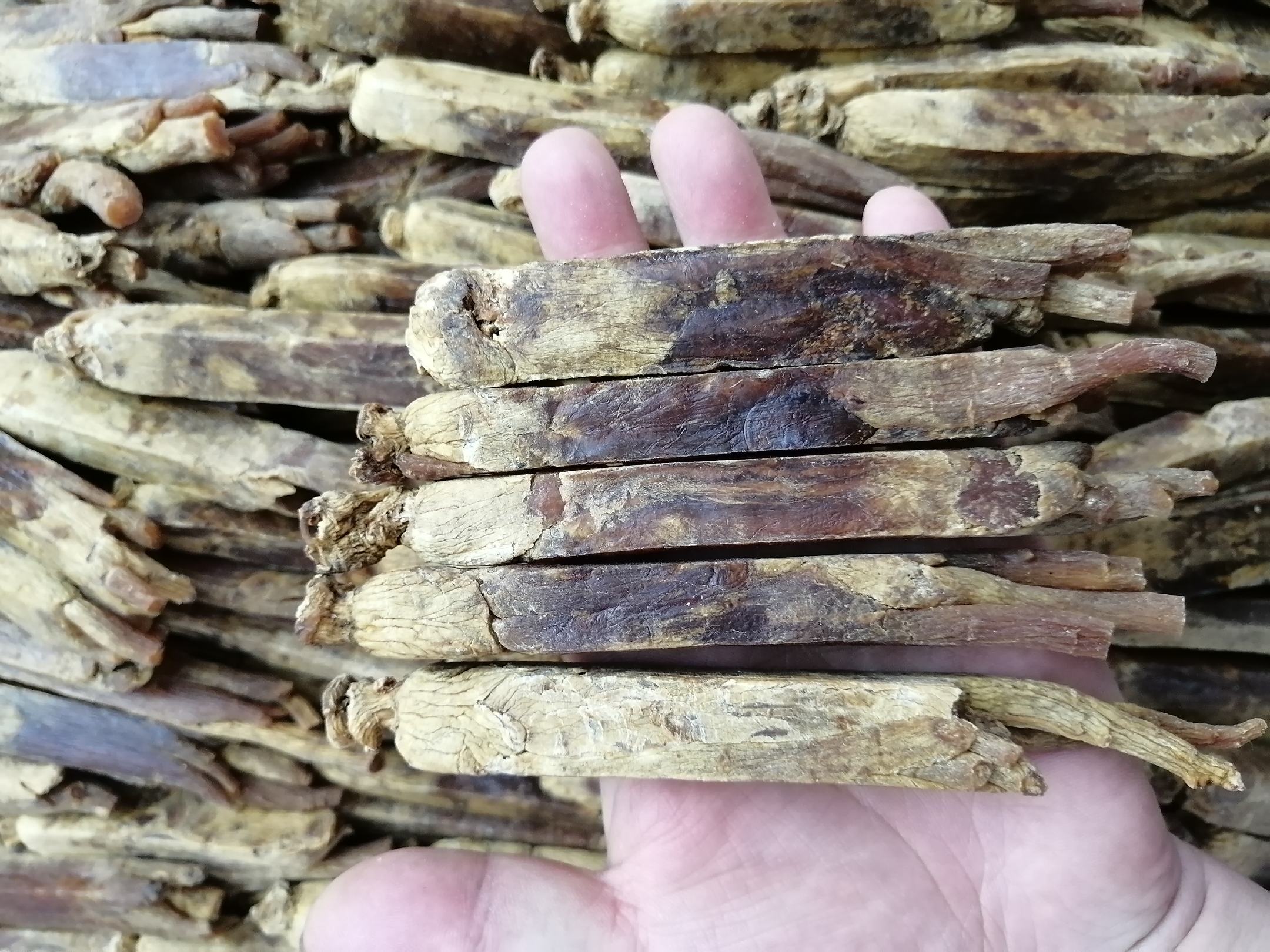 高丽参红参在日常饮食中的应用