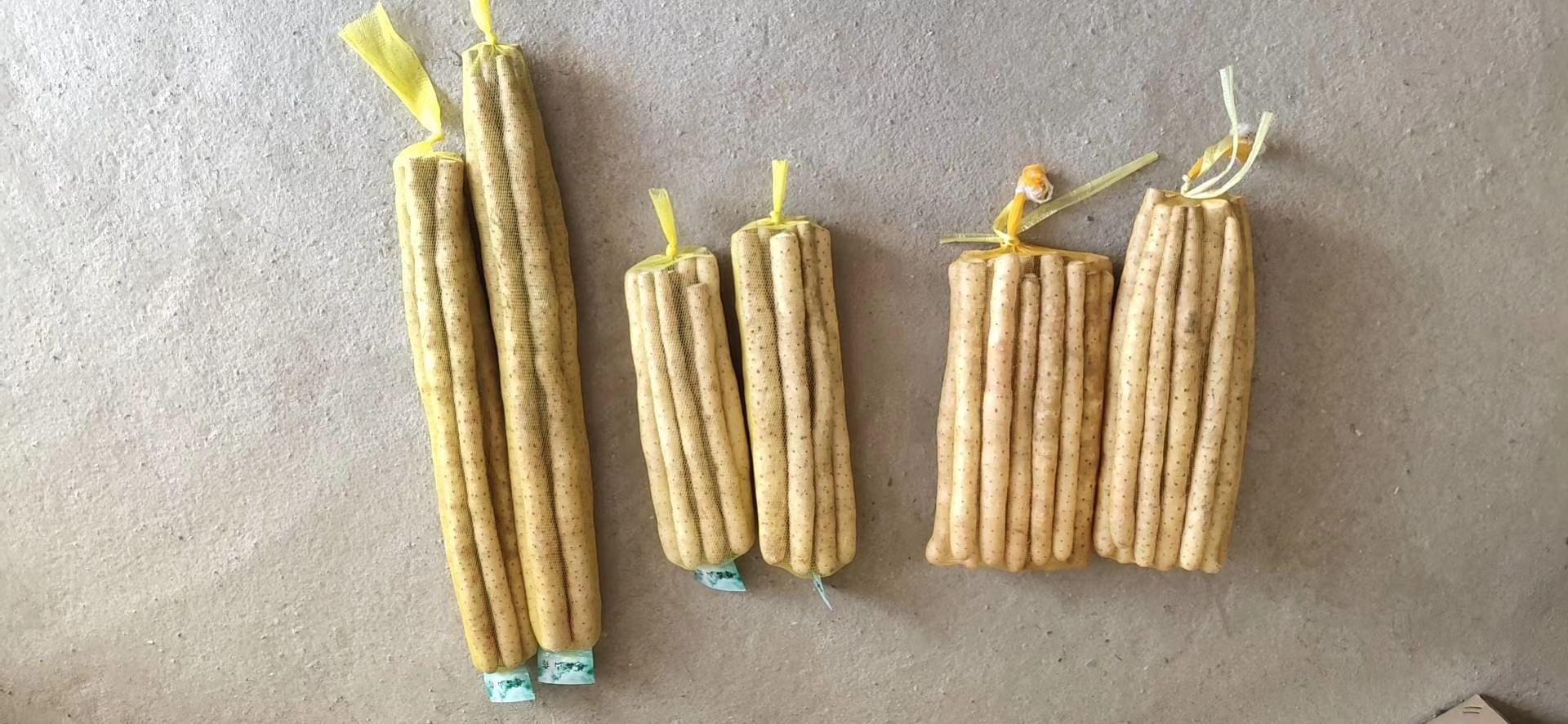 甘蔗与新鲜山药并列摆放的特写照片