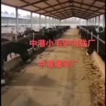 中港集团，驴肉，诚信经营！