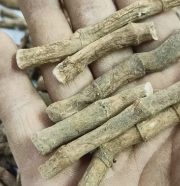 中草药材 三白草根 塘边藕,过塘藕白面姑,白舌骨,百节藕