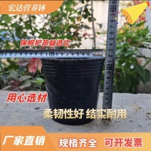 营养钵育苗杯塑料黑色育苗盆育苗袋加厚营养袋树苗杯育苗盆