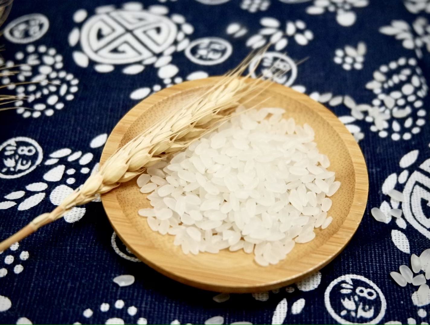 四个白色瓷盘分别盛放:蒸熟的紫红色香芋块、白米饭、黄玉米粒、即食燕麦粥,背景为木质餐桌,自然光线照射,突出颜色和质地差异 蒸煮后的香芋块与米饭、玉米、燕麦并列摆放的对比图