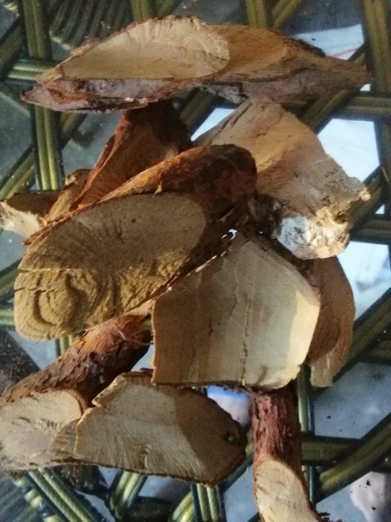 刺梨根,纯野生,无污染,20年老根