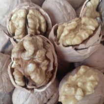薄皮核桃，大量供应，价格便宜，质量高产地直销