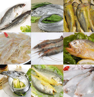 中秋好礼,当季海鲜,海鲜礼盒 八件套 海捕海鱼