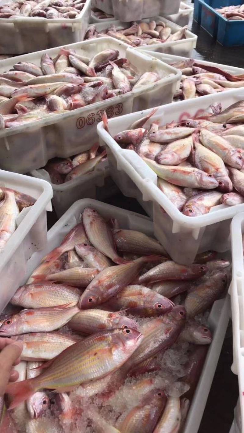 新鲜冷冻红三鱼真空包装