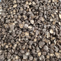 食用菌干香菇佛都基地的干货