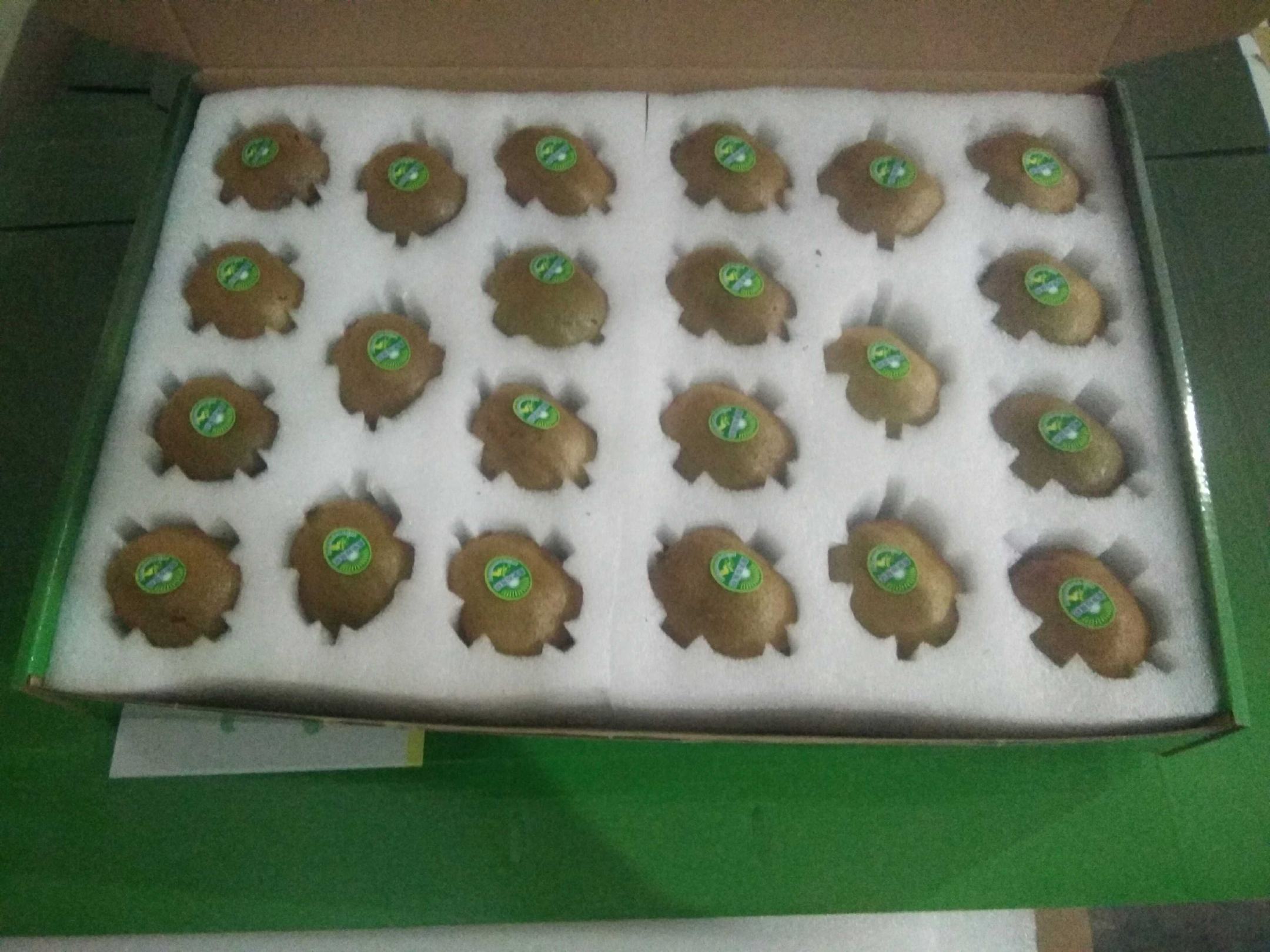 徐香猕猴桃包装与物流场景