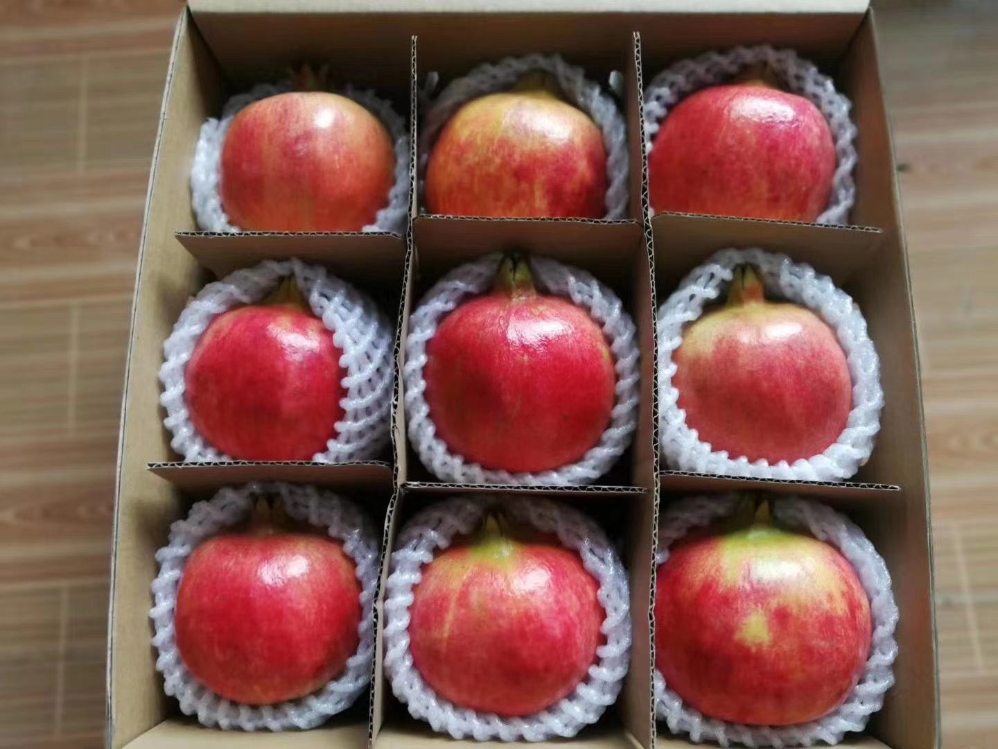 四川会理某SC认证石榴分选中心内部场景:全自动光学分选机正在运行,屏幕实时显示果径、糖度、瑕疵识别结果;工人将合格果送入气调预冷隧道;右侧为定制化礼盒自动装箱线,印有'地理标志产品 会理石榴'及GS1全球追溯码;地面洁净无泥,符合出口标准 会理石榴现代化分选包装车间内部实景